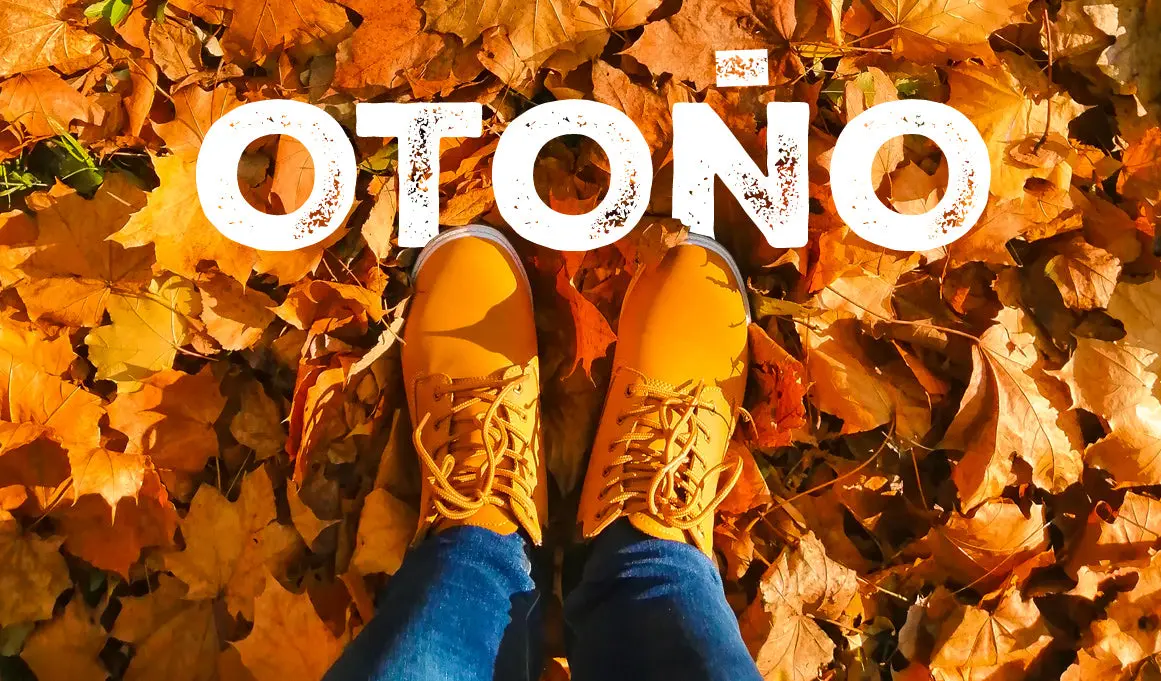 Y LLEGÓ EL OTOÑO
